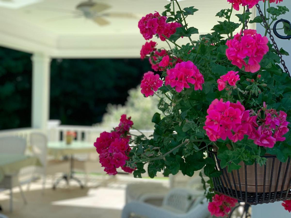 Howarth House Bed And Breakfast Фичберг Экстерьер фото
